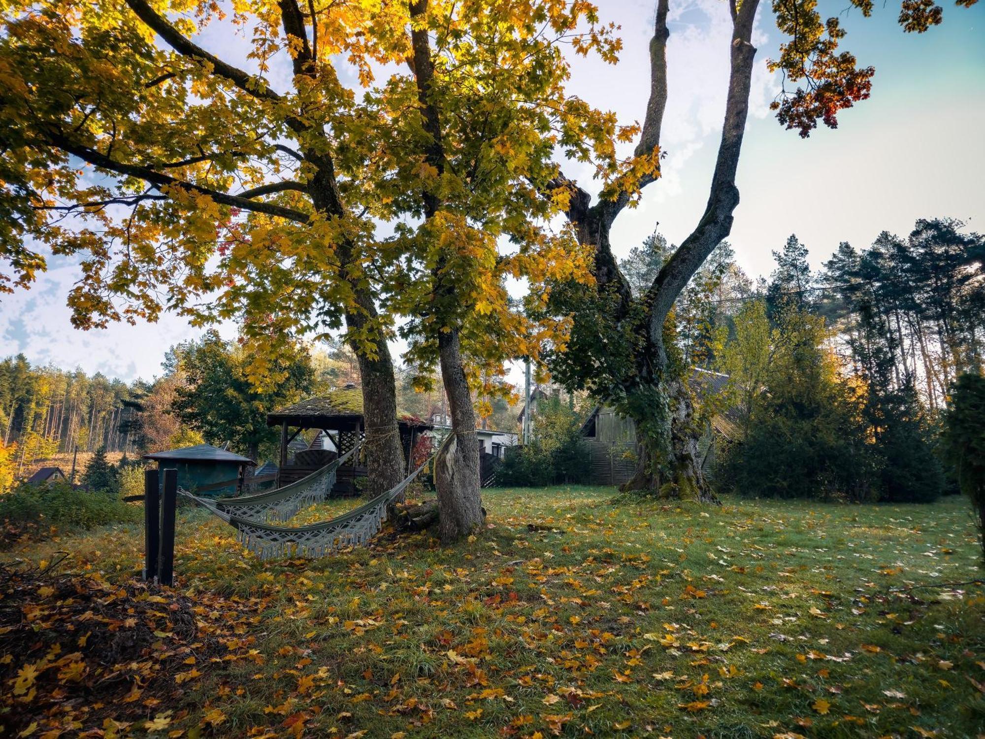 Вилла Dom Pod Klonem Na Kaszubach Косцежина Экстерьер фото