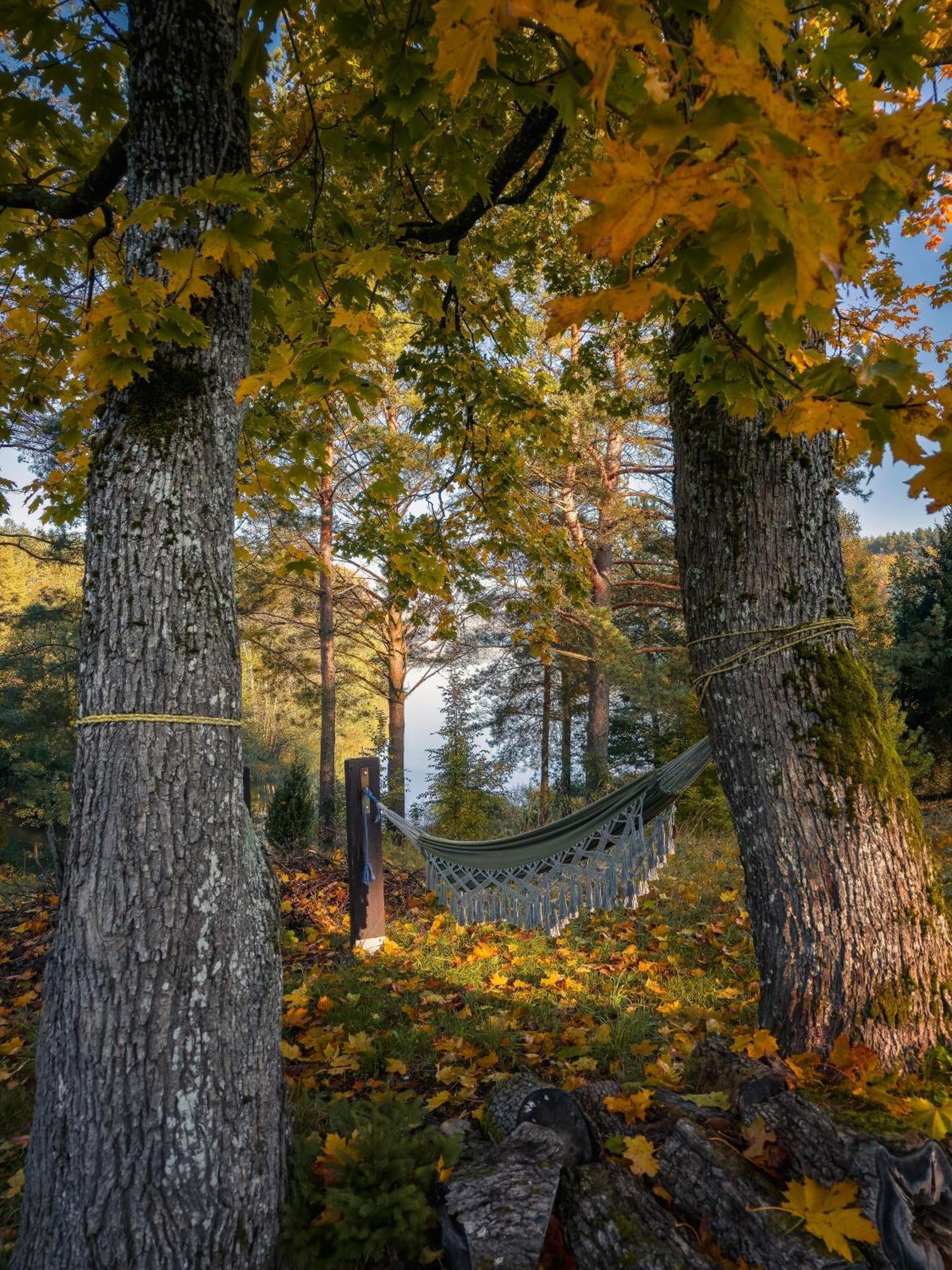 Вилла Dom Pod Klonem Na Kaszubach Косцежина Экстерьер фото